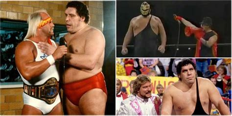 5 Best Tag Team Partners Of Andre The Giants Career And 5 Worst