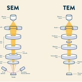 Scanning Electron Microscope Ray Diagram