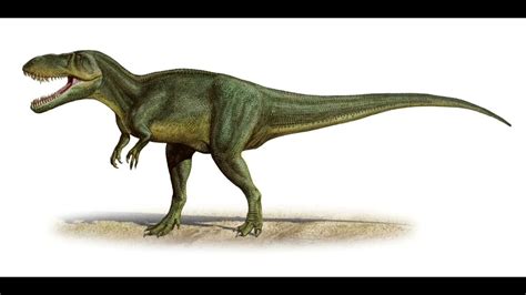 Torvosaurus Sounds Youtube