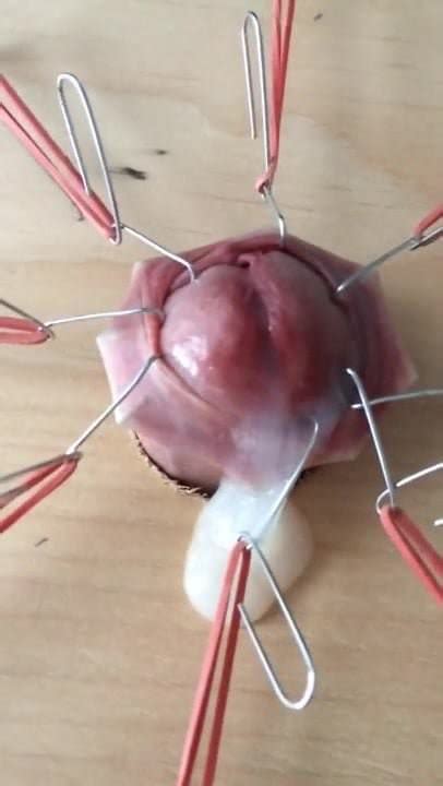 Schwulen Creator Sex Videos Von Tomku Kostenlose Nacktpornos XHamster