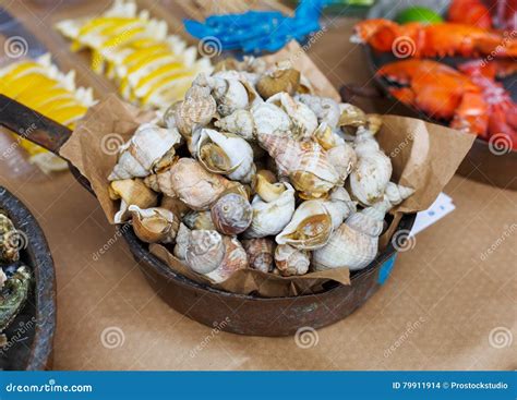 Seafood Whelk Sea Snails Bulot With A Sauce Of Butter Garlic Royalty