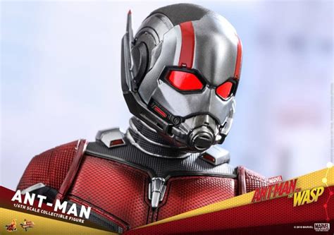 Hot Toys Th Scale Ant Man Collectible Figure Ant Man And The Wasp Rio X Teir