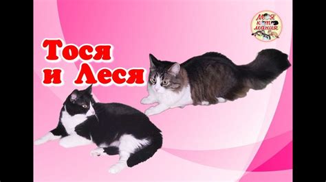 Тося и Леся. Архивное видео. - YouTube