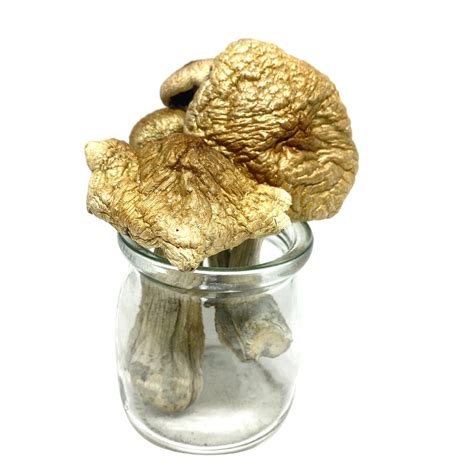 Golden Cap Magic Mushrooms - Buy Psychedelic Online