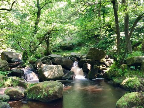 Gorgeous Padley Gorge Peak District Ancient Woodland