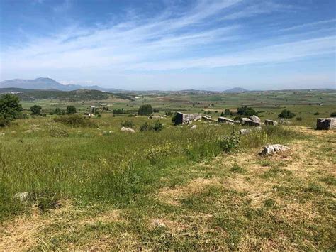 Battle Of Plataea