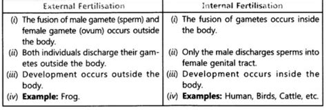 List The Difference Between Internal Fertilization And External