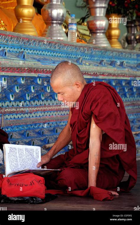 Red Robed Buddhist Monk Read Reading Pray Praying Shwedagon Pagoda