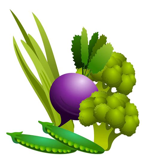 vegetables clipart digital vegetables clip art