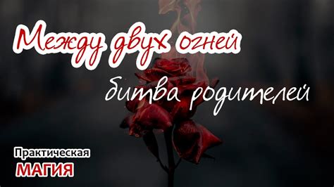 Между двух огней: битва родителей - YouTube