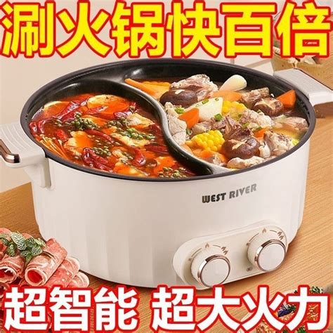 German Mandarin Duck Electric Hot Pot Household Multifunctional Integrated Dual Control Mandarin