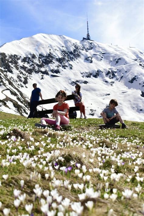 Canton Ticino Cosa Vedere Posti Belli Nella Svizzera Italiana