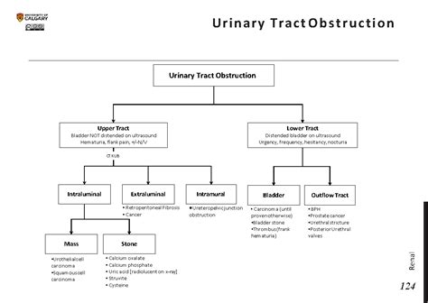 urinary tract obstruction blackbook blackbook