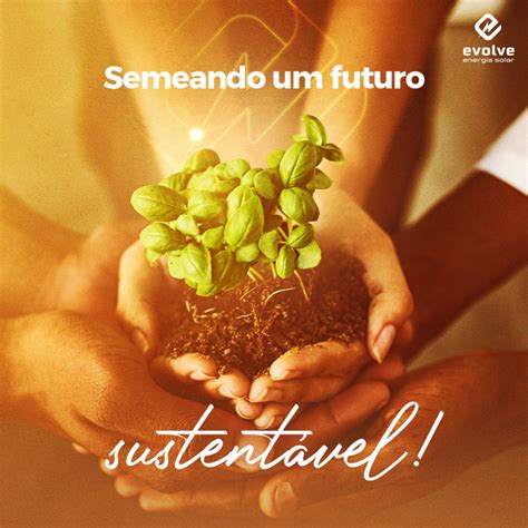 Sustentabilidade E Responsabilidade Ambiental O Papel Da Energia Solar