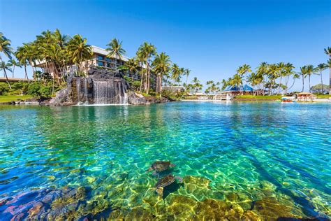 Hilton Waikoloa Village Reviews, Deals & Photos 2024 - Expedia