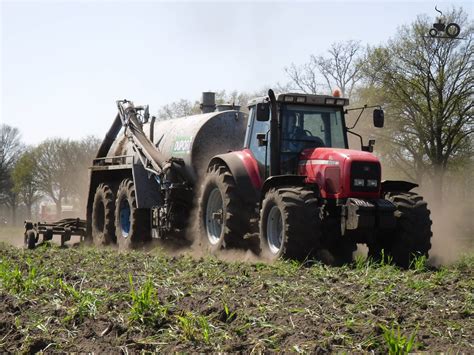Foto Massey Ferguson 8250 #354012