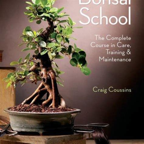 Bonsai School By Craig Coussins Pangobooks