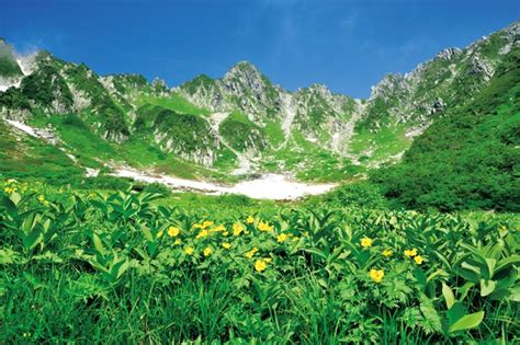 ＜画像2 / 3＞日本のスイス！千畳敷カールへ週末トリップ〈長野県〉｜ウォーカープラス