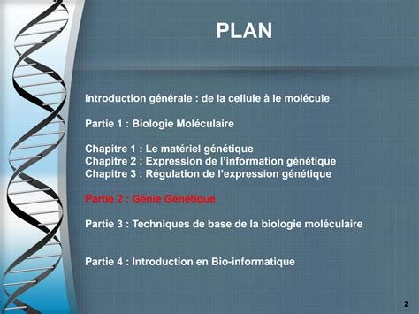 SOLUTION Cours Bmgg L3 Microbio Partie 2 Le G Nie G N Tique Studypool