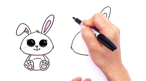 Bunny Drawing