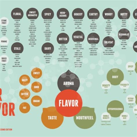 Beer Flavor Map© As Provided By Draughtlab That Outlines The Flavor