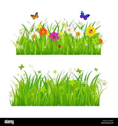 Green Grass With Flowers And Insects Stock Photo Alamy