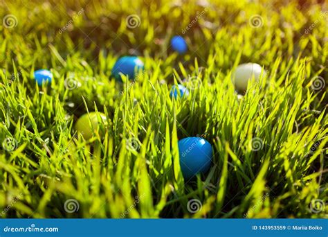 Easter Feliz Ovos Da P Scoa Escondidos Na Grama Da Mola Imagem De Stock