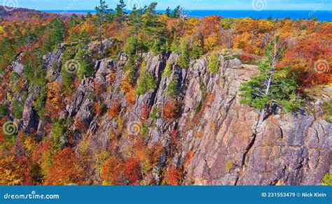 Fall Forest In The Mountains With Aspens And Pine Trees And Cliff Walls