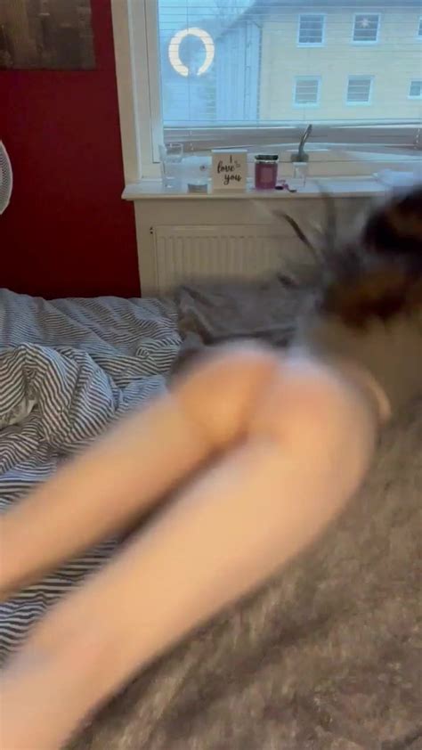 You May Fuck My Ass But You Must Finish In My Pussy