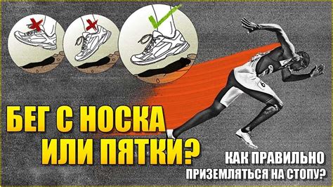 👟Бег с носка или с пятки? Как правильно приземляться на стопу ...