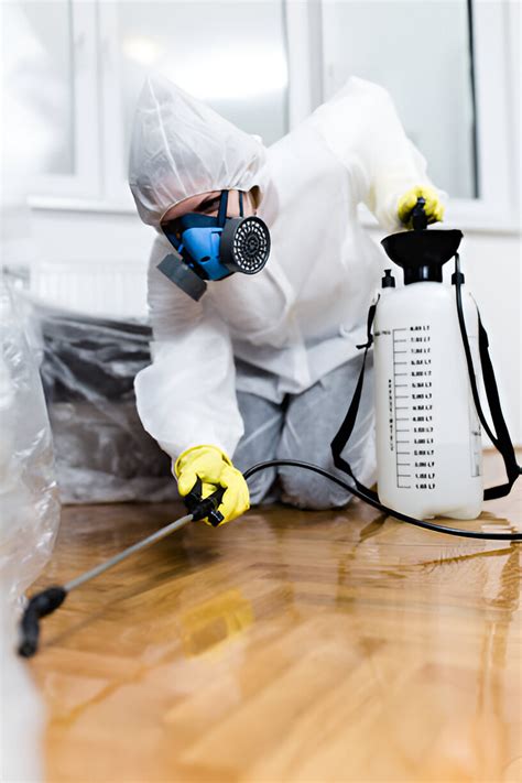 Professional Cockroach Control Services Delhi NCR | Same-Day Solutions