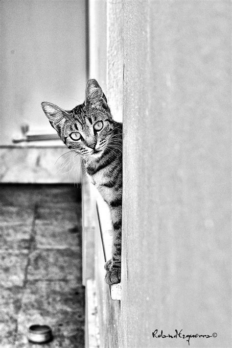 You Talkin To Me You Talkin To Me You Talkin To Me Flickr