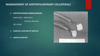 tetrology  fallot corrective surgeries pptx