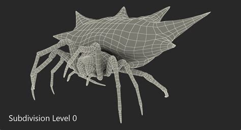 Spiny Orb Weaver Spider 3D TurboSquid 1170065