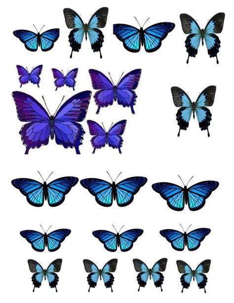 Wafer Paper Blue Butterflies By Bakingdiva2 On Etsy