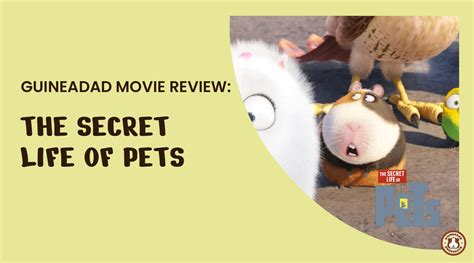 Guineadad Movie Review The Secret Life Of Pets