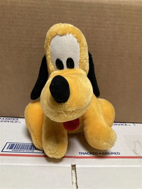 Pluto Disney World
