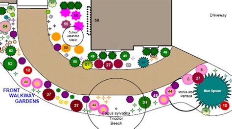 Rose Garden Layout Plan