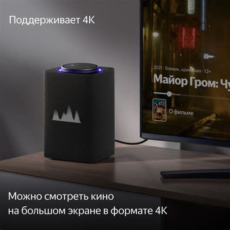 Купить Умная колонка Яндекс Станция Макс с Zigbee, графит YNDX-00053 K ...
