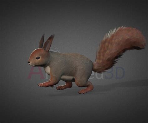 Artstation Squirrel Walk Game Assets