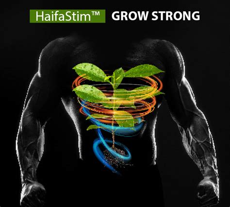 HaifaStim Suplementos Nutricionales Para Cultivos Saludables Haifa Group