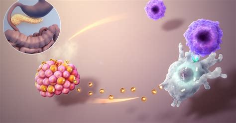 Enfermedades Del Sistema Endocrino Dinami