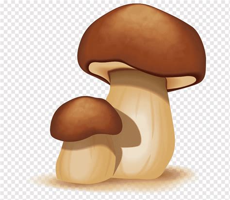 Mushroom Cartoon Images Png H2ablog