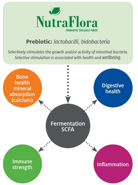 Nutraflora® Supplements In Review