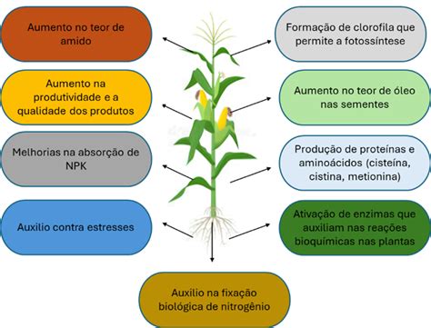Enxofre: o que é, para que serve e como aplicar? - Nutrição de Safras