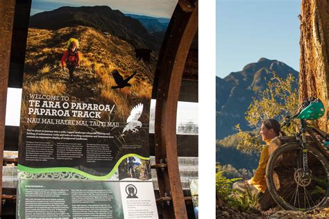 Paparoa Track — Telltale