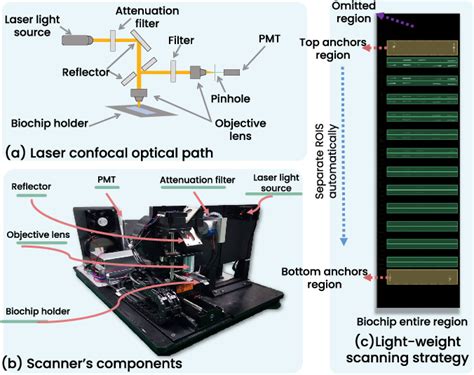 Figure 2 from A Barcode-Array Biochip Sensor Analysis System Based on ...