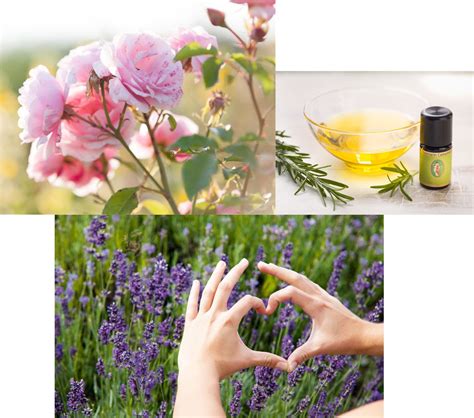 PRIMAVERA Aromapflege