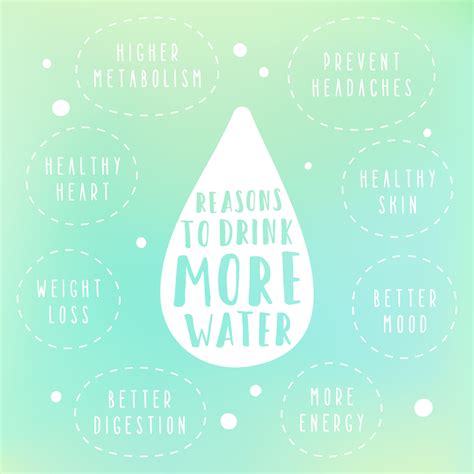 importance  hydration   health plant based eatz