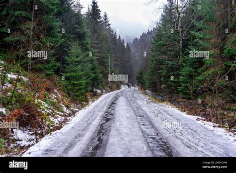 Ice Path In The Forest Stock Photo Alamy